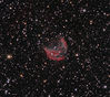 Medusa_Nebula_in_Gemini.jpg